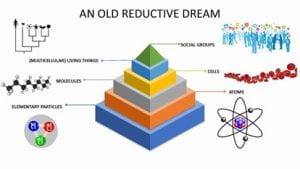 Diagram titled 'An Old Reductive Dream' showing the levels